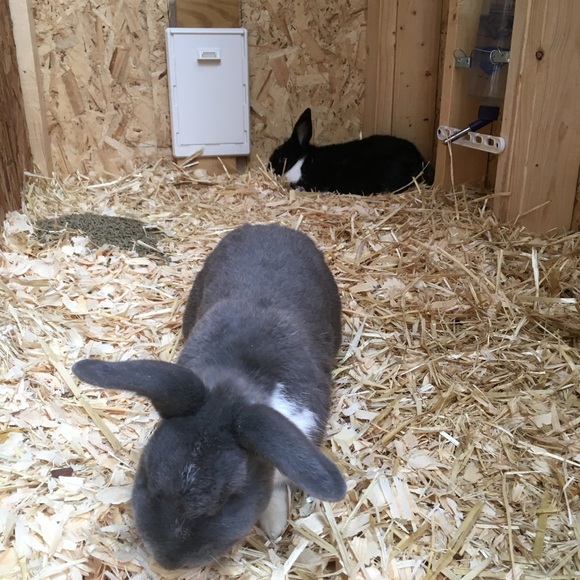 Hop on in for Added Discounts! - Picture 12 of 16